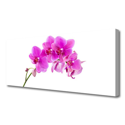 Canvas Wall art Flowers floral pink