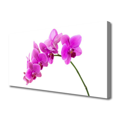 Canvas Wall art Flowers floral pink