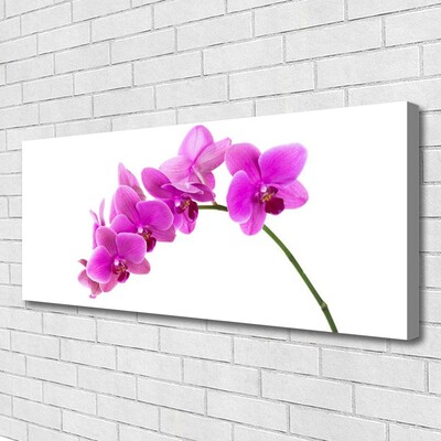 Canvas Wall art Flowers floral pink