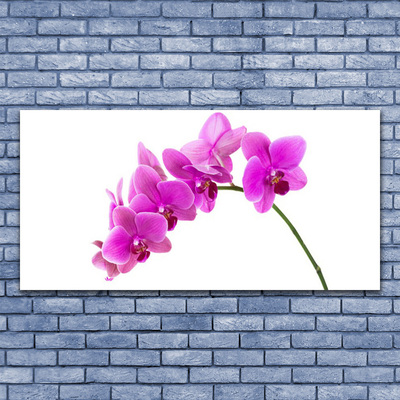 Canvas Wall art Flowers floral pink