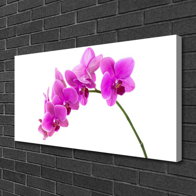 Canvas Wall art Flowers floral pink