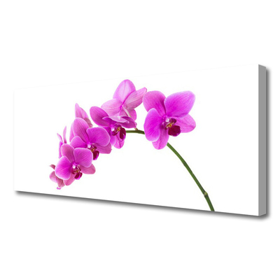 Canvas Wall art Flowers floral pink