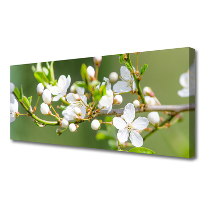 Canvas Wall art Branches flowers floral green white