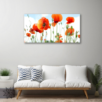 Canvas Wall art Poppies floral red