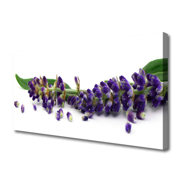 Canvas Wall art Petals floral purple green