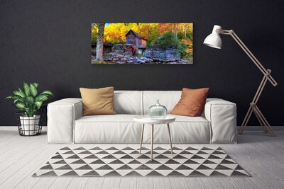 Canvas Wall art Forest stones nature grey brown green yellow