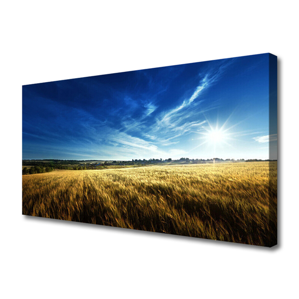 Canvas Wall art Field sky nature yellow blue white