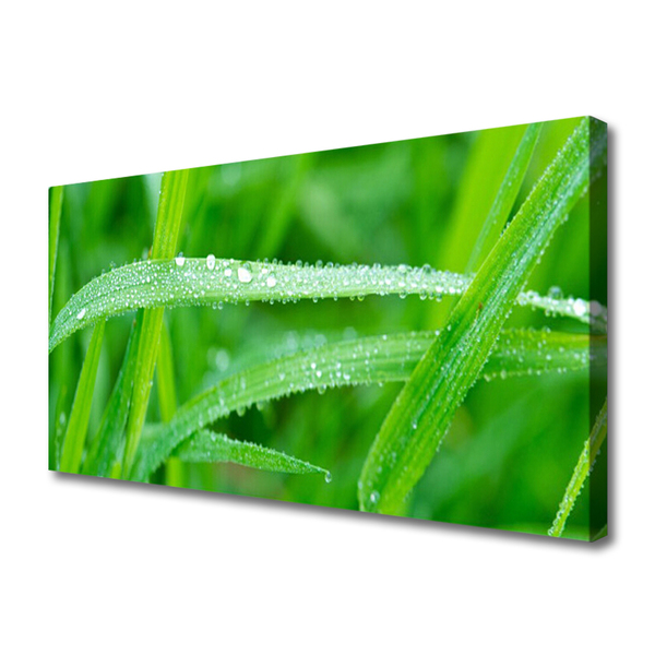 Canvas Wall art Grass nature green