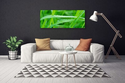 Canvas Wall art Grass nature green