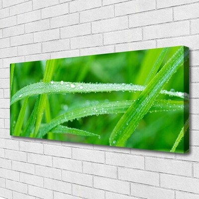 Canvas Wall art Grass nature green