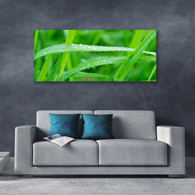 Canvas Wall art Grass nature green