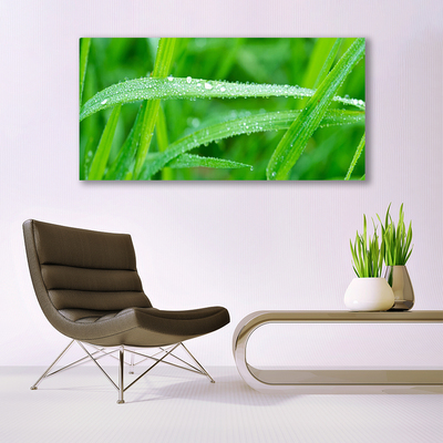 Canvas Wall art Grass nature green