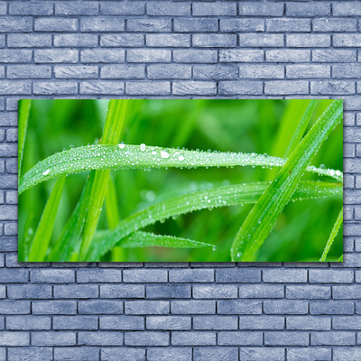 Canvas Wall art Grass nature green