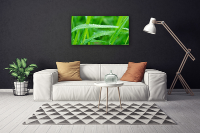 Canvas Wall art Grass nature green