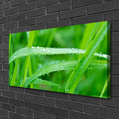 Canvas Wall art Grass nature green