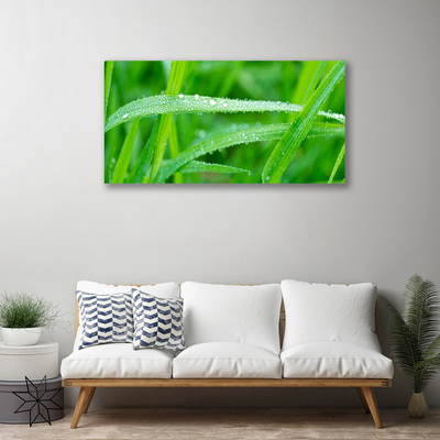 Canvas Wall art Grass nature green