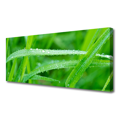 Canvas Wall art Grass nature green