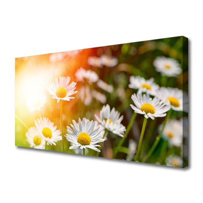 Canvas Wall art Daisy floral yellow white green