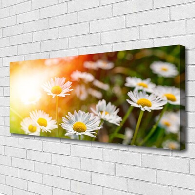 Canvas Wall art Daisy floral yellow white green