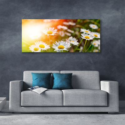 Canvas Wall art Daisy floral yellow white green