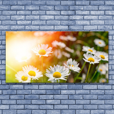 Canvas Wall art Daisy floral yellow white green