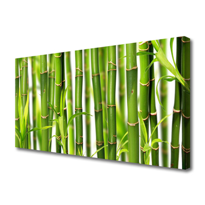 Canvas Wall art Bamboo stalks floral green