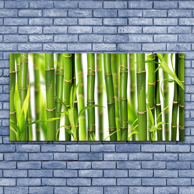 Canvas Wall art Bamboo stalks floral green