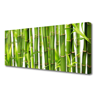 Canvas Wall art Bamboo stalks floral green