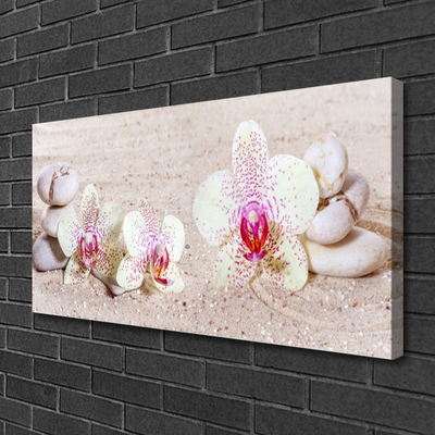 Canvas Wall art Flower stones floral white