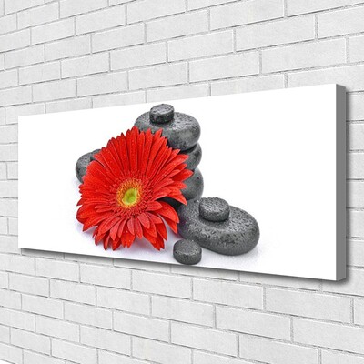 Canvas Wall art Flower stones floral red grey