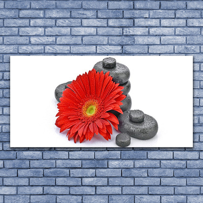 Canvas Wall art Flower stones floral red grey