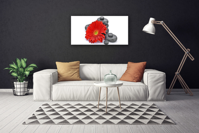 Canvas Wall art Flower stones floral red grey