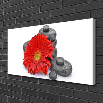 Canvas Wall art Flower stones floral red grey