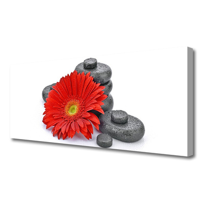 Canvas Wall art Flower stones floral red grey