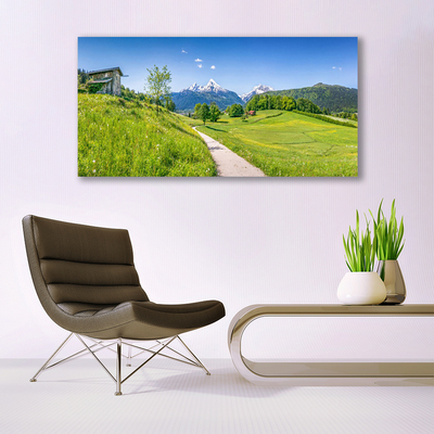 Canvas Wall art Meadow footpath nature green brown