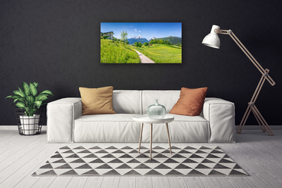 Canvas Wall art Meadow footpath nature green brown