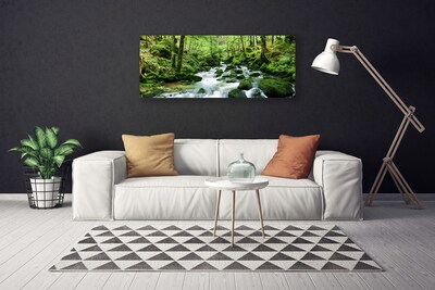 Canvas Wall art Forest lake stones nature brown green white
