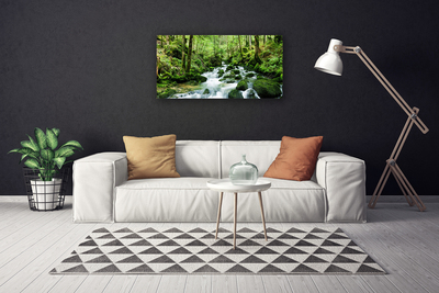 Canvas Wall art Forest lake stones nature brown green white