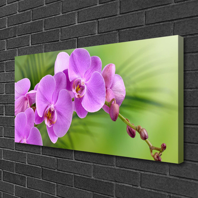 Canvas Wall art Flowers houses pink