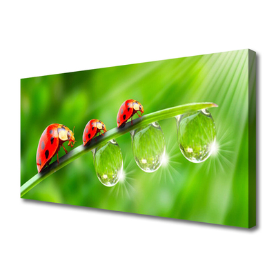 Canvas Wall art Grass ladybug drops of dew floral green black red