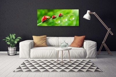 Canvas Wall art Grass ladybug drops of dew floral green black red