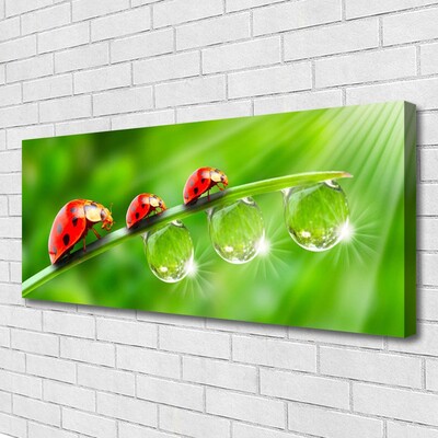 Canvas Wall art Grass ladybug drops of dew floral green black red