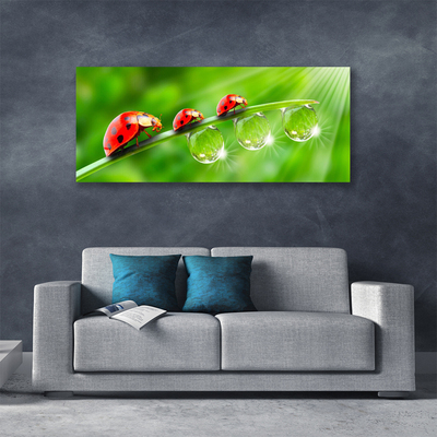 Canvas Wall art Grass ladybug drops of dew floral green black red