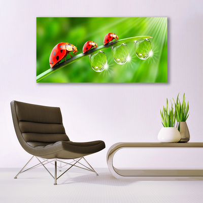 Canvas Wall art Grass ladybug drops of dew floral green black red