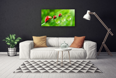 Canvas Wall art Grass ladybug drops of dew floral green black red