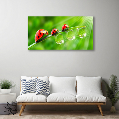 Canvas Wall art Grass ladybug drops of dew floral green black red