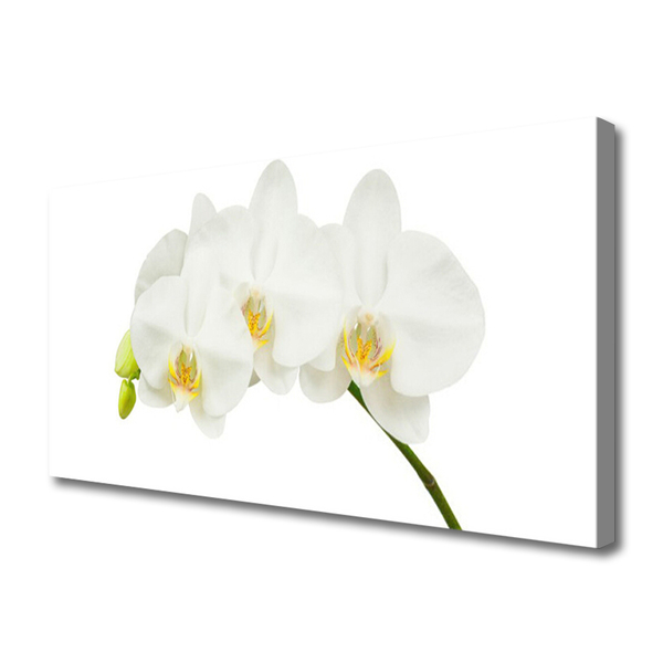 Canvas Wall art Flowers floral white