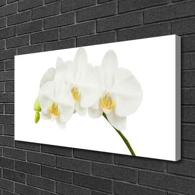 Canvas Wall art Flowers floral white