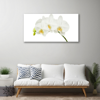 Canvas Wall art Flowers floral white