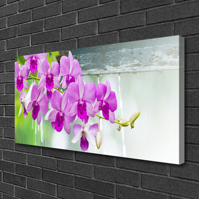 Canvas Wall art Flowers floral pink